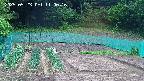 kannonmori-20250523110017.jpg