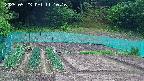 kannonmori-20250523111017.jpg