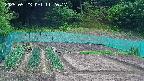 kannonmori-20250523112017.jpg