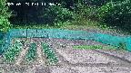 kannonmori-20250523113016.jpg