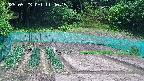 kannonmori-20250523114016.jpg