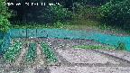 kannonmori-20250523115017.jpg