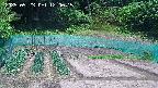 kannonmori-20250523120017.jpg