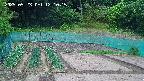 kannonmori-20250523121017.jpg