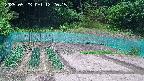 kannonmori-20250523122017.jpg