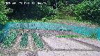 kannonmori-20250523123018.jpg