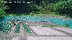 kannonmori-20250523125016.jpg