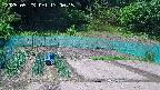 kannonmori-20250523130017.jpg