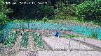 kannonmori-20250523131015.jpg