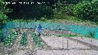 kannonmori-20250523132016.jpg