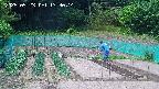 kannonmori-20250523133016.jpg