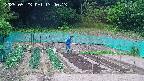 kannonmori-20250523134014.jpg