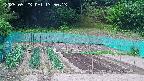 kannonmori-20250523135015.jpg