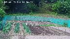 kannonmori-20250523140015.jpg