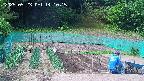 kannonmori-20250523141017.jpg