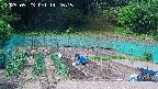 kannonmori-20250523142017.jpg