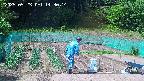kannonmori-20250523143016.jpg