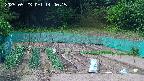 kannonmori-20250523144017.jpg