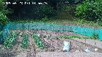 kannonmori-20250523145017.jpg