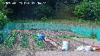 kannonmori-20250523150015.jpg