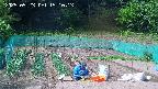 kannonmori-20250523151015.jpg