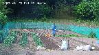 kannonmori-20250523153018.jpg