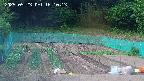 kannonmori-20250523161015.jpg