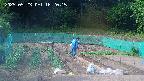 kannonmori-20250523162017.jpg