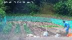 kannonmori-20250523165017.jpg