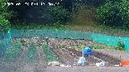 kannonmori-20250523170016.jpg