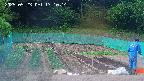 kannonmori-20250523171016.jpg