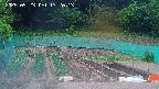 kannonmori-20250523172015.jpg