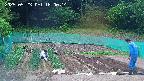 kannonmori-20250523180016.jpg