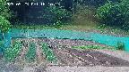kannonmori-20250523181015.jpg
