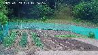 kannonmori-20250523182018.jpg