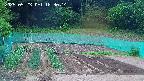 kannonmori-20250523183016.jpg