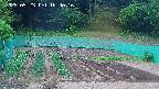 kannonmori-20250523184018.jpg