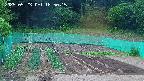 kannonmori-20250523185016.jpg