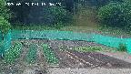 kannonmori-20250523190014.jpg