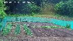 kannonmori-20250524050018.jpg