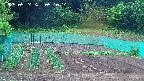 kannonmori-20250524051016.jpg