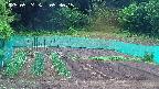 kannonmori-20250524053017.jpg
