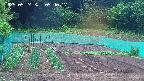 kannonmori-20250524054019.jpg