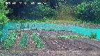 kannonmori-20250524055018.jpg