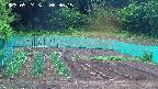 kannonmori-20250524063017.jpg