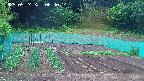 kannonmori-20250524064016.jpg