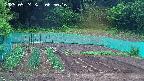 kannonmori-20250524065018.jpg