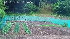 kannonmori-20250524074018.jpg
