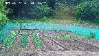 kannonmori-20250524082017.jpg