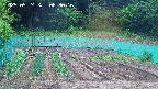 kannonmori-20250524083017.jpg